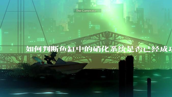 如何判断鱼缸中的硝化系统是否已经成功建立？